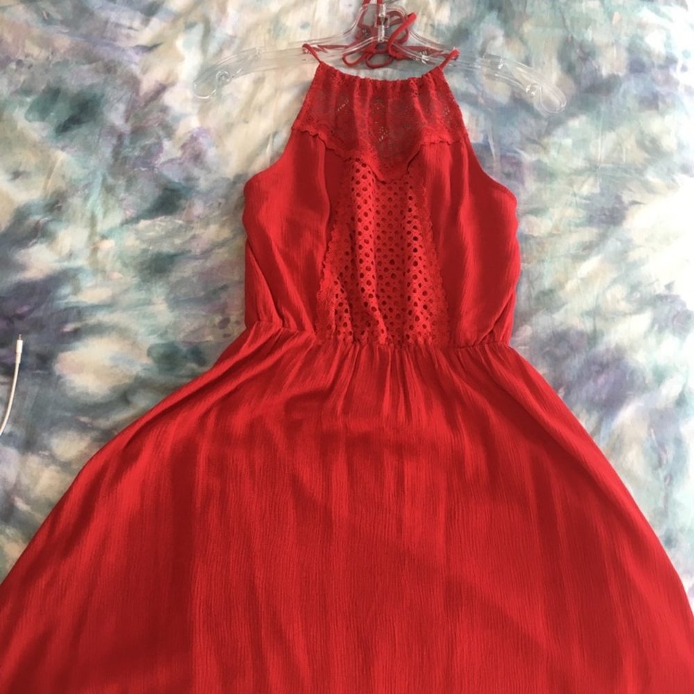 Francesca's Collections Red Lace Dress